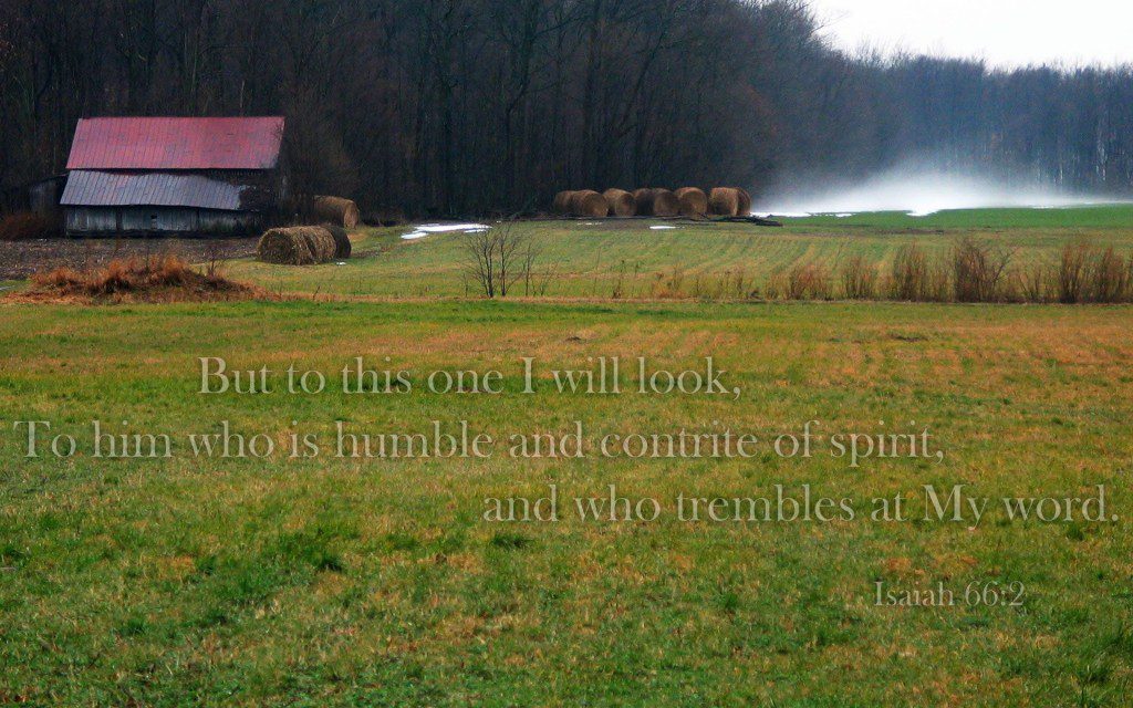 isaiah-662_barn and wheat