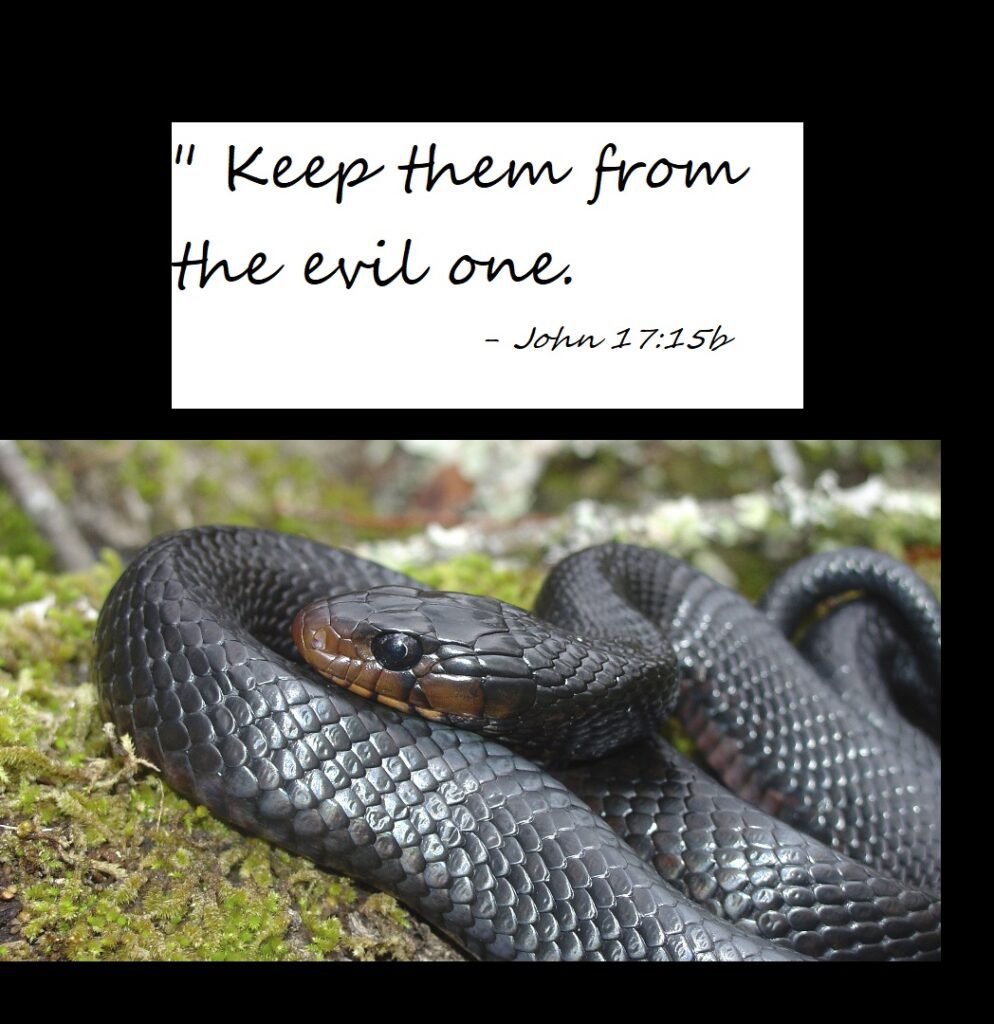 "Keep them from the evil one. John 15:17b photo of snake curled up