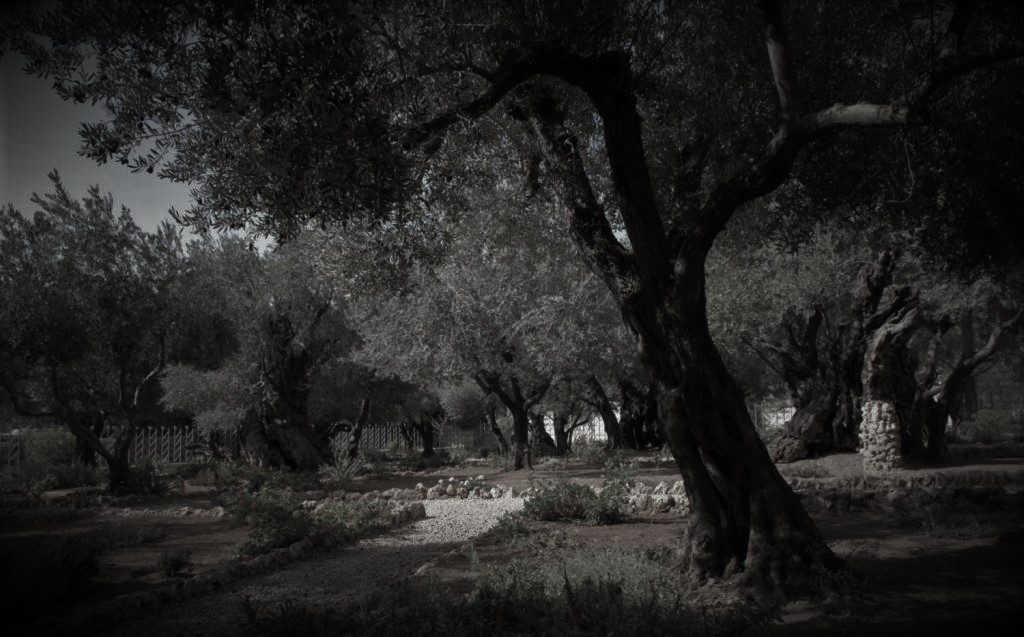 Jesus – The Last Prayers of Gethsemane