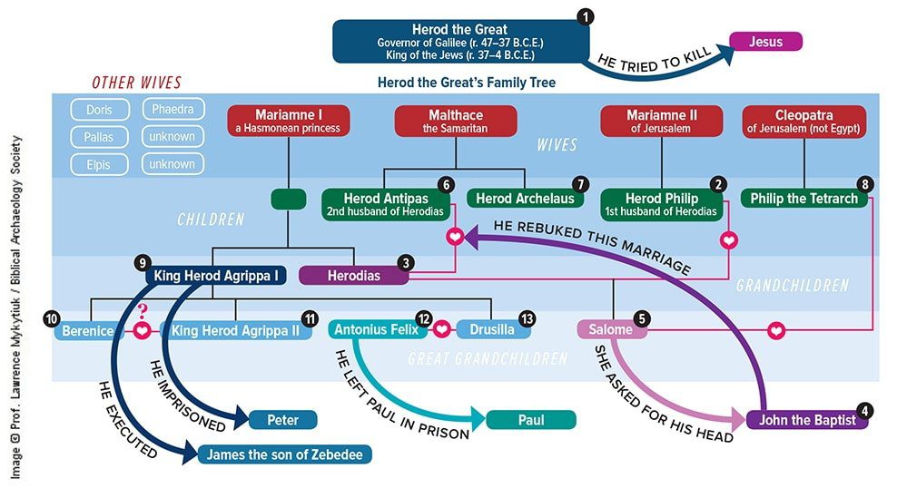 family tree of the Herod's from Herod the Great