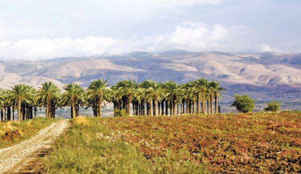 plain of Sharon Israel looking back from Mediterranean toward Joppa and the samarian hills 
