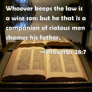 Proverbs 28:7 applied to the prodigal or riotous sons of a father