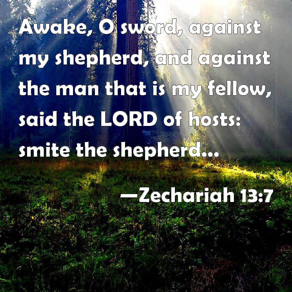Zechariah 1:7 Awake O sword against my shepherd 