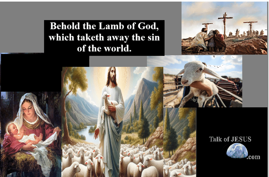 Behold the Lamb of God, which taketh away the sin of the world. - Jesus in a manger and the lamb of sacrifice on a cross